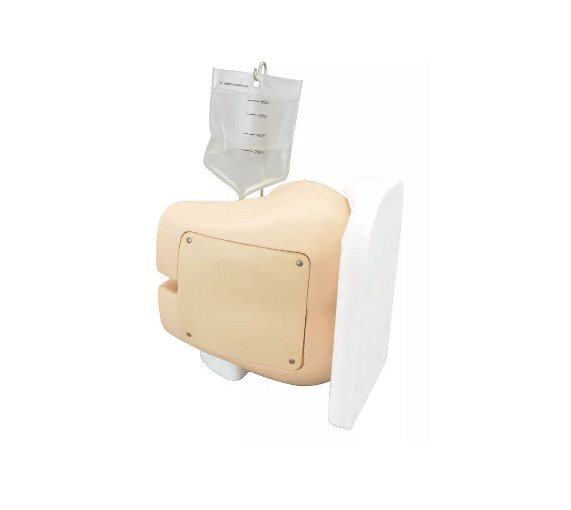 Lumbalpunktions - Simulator - Erler - Zimmer